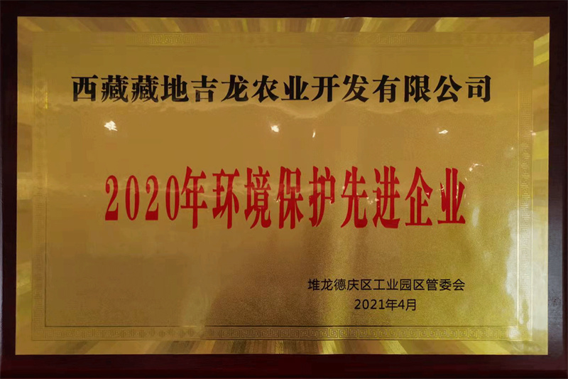 2020年环境保护先进企业